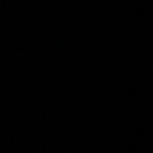 Meet your Posher, Riley